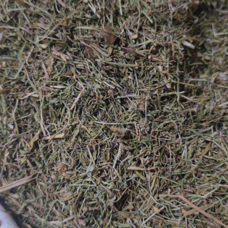 半边莲净货新货草药大全各种中药材批发