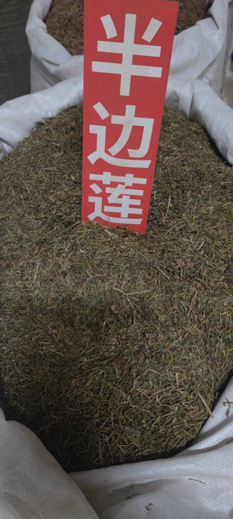 半边莲净货新货草药大全各种中药材批发