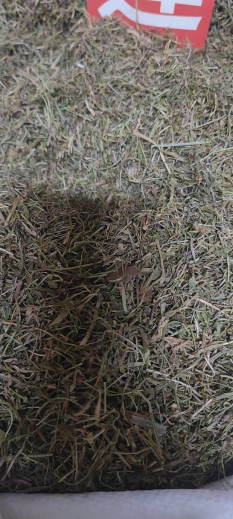 半边莲净货新货草药大全各种中药材批发