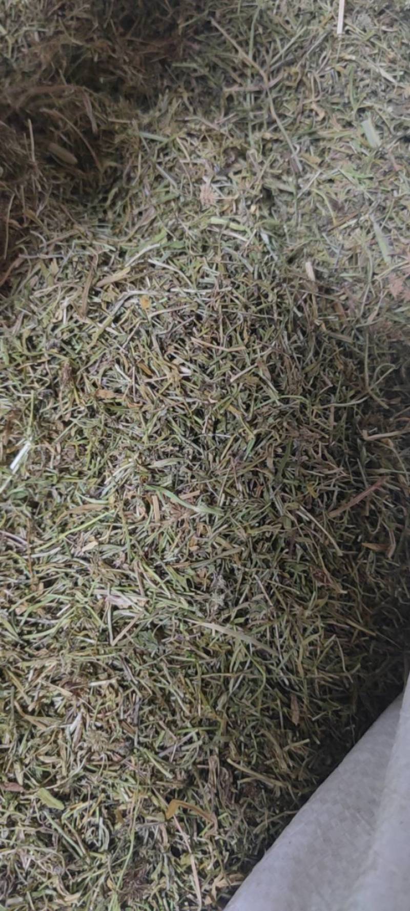 半边莲净货新货草药大全各种中药材批发