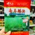 南马矮油油菜种子含油量高秋冬油菜榨油菜籽种矮杆油菜