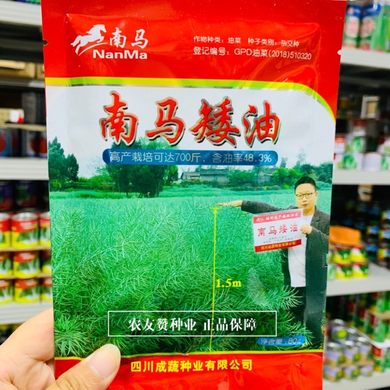 南马矮油油菜种子含油量高秋冬油菜榨油菜籽种矮杆油菜