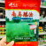 南马矮油油菜种子含油量高秋冬油菜榨油菜籽种矮杆油菜