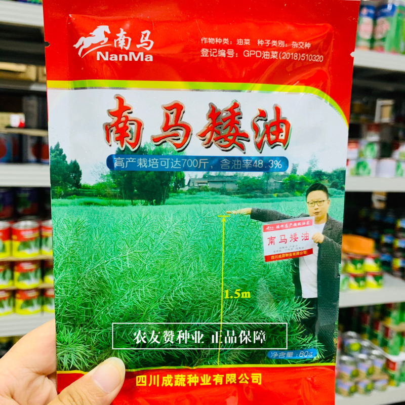 南马矮油油菜种子含油量高秋冬油菜榨油菜籽种矮杆油菜