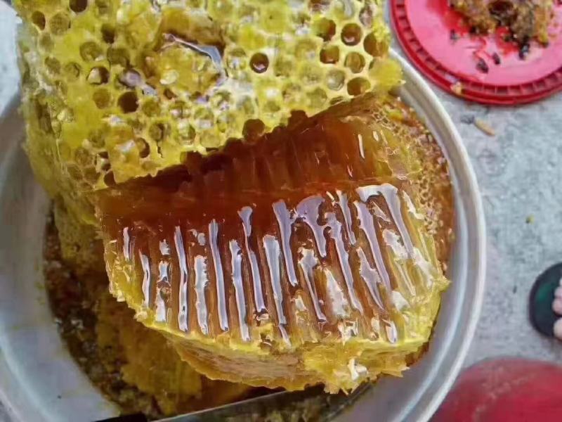 高原纯野生花蜂蜜............