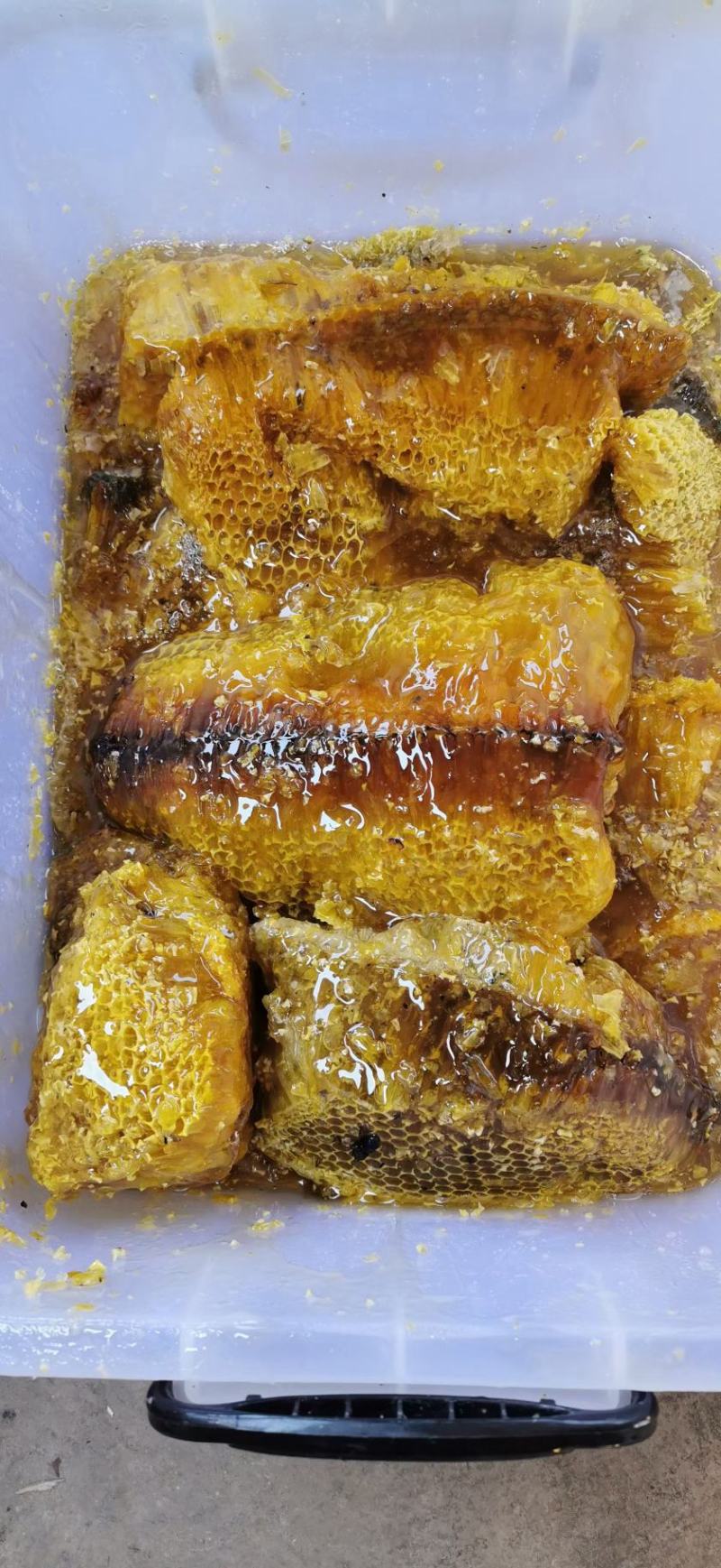 高原纯野生花蜂蜜............