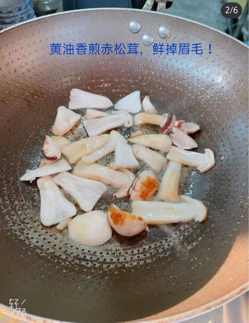 赤松茸