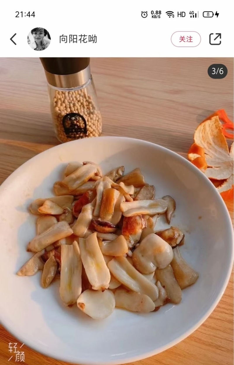 赤松茸