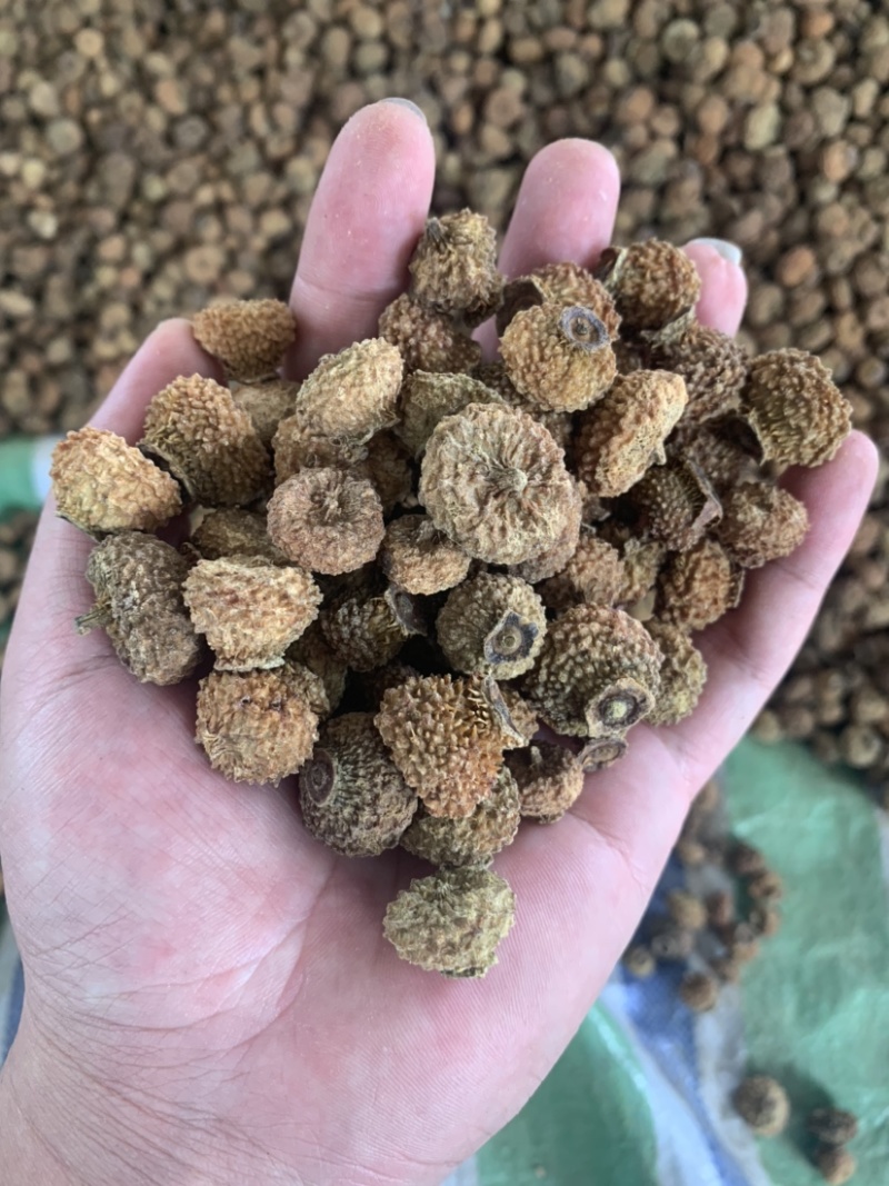 贵龙5号刺梨干果现货不做差品不做差品！