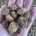 贵龙5号刺梨干果现货不做差品不做差品！