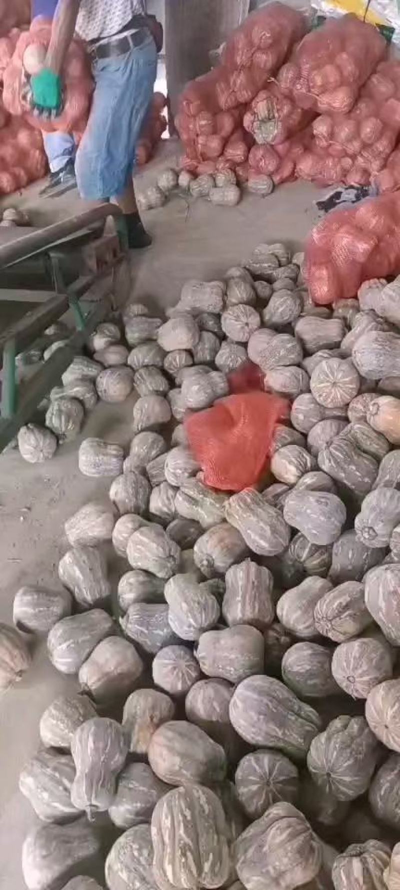 河南新野金香南瓜大量上市口感香糯基地直发可视频看货