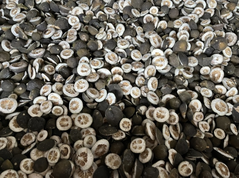 浙江衢州胡柚枳壳，
