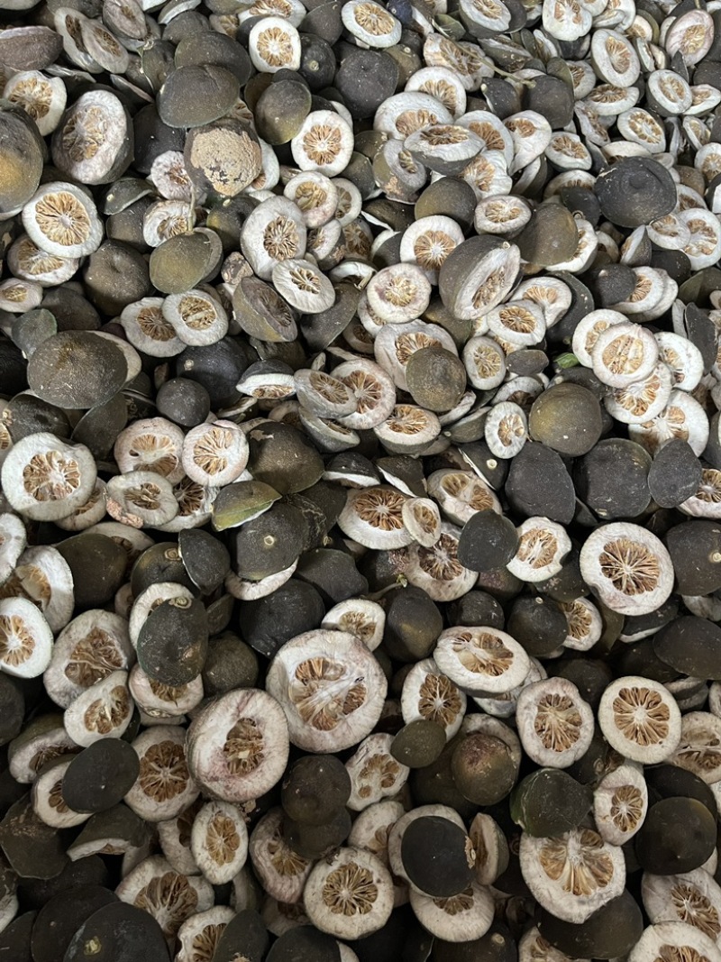 浙江衢州胡柚枳壳，