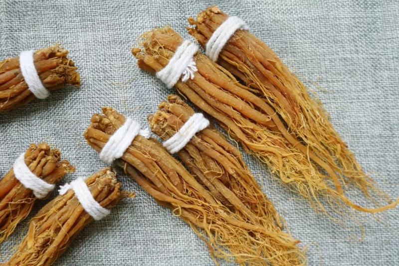 广州人特价红参须