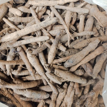 野生小叶仙茅，需要的现采现发。