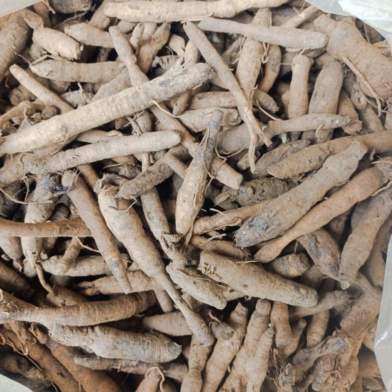 野生小叶仙茅，需要的现采现发。
