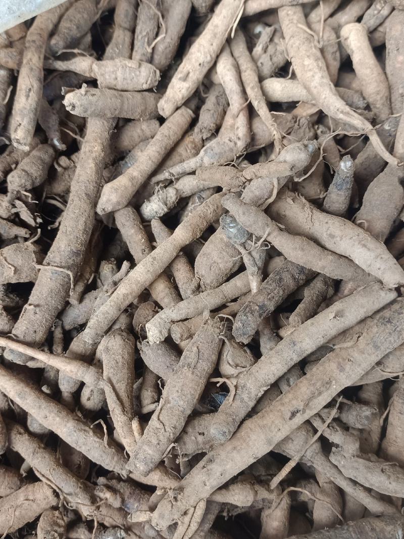 野生小叶仙茅，需要的现采现发。