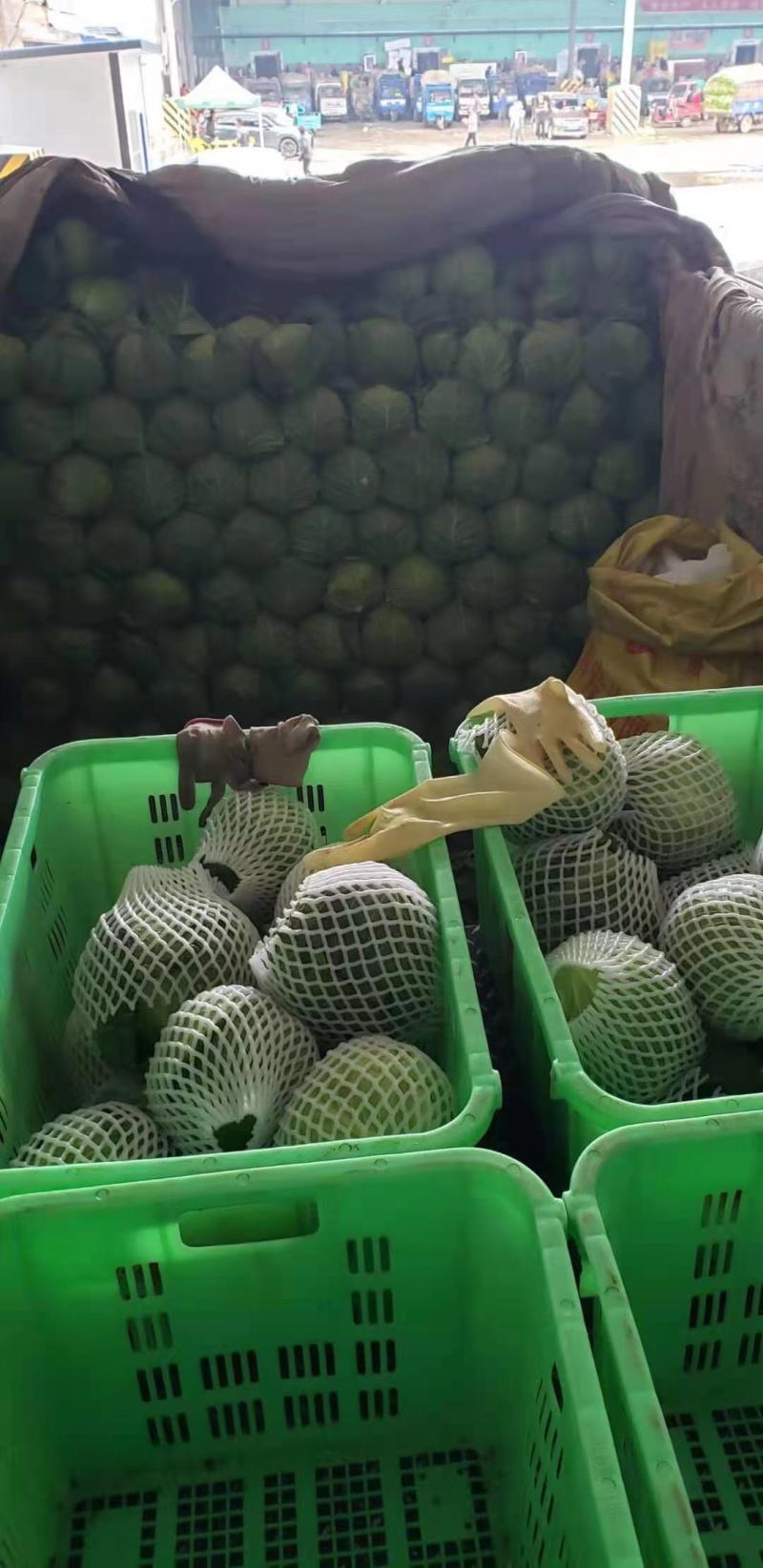 精品甘蓝产地直销大量有货