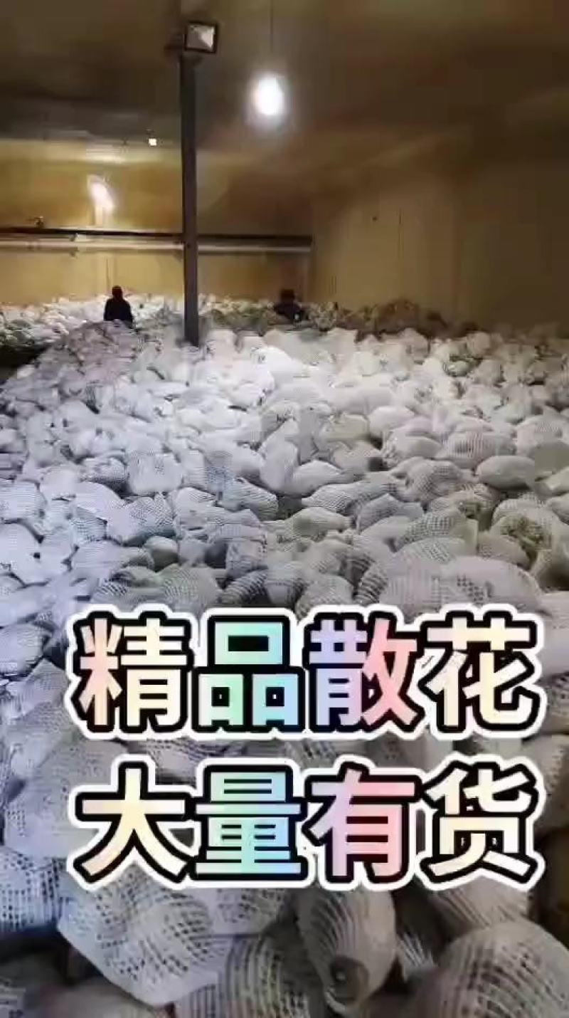 甘肃兰州高原水果玉米