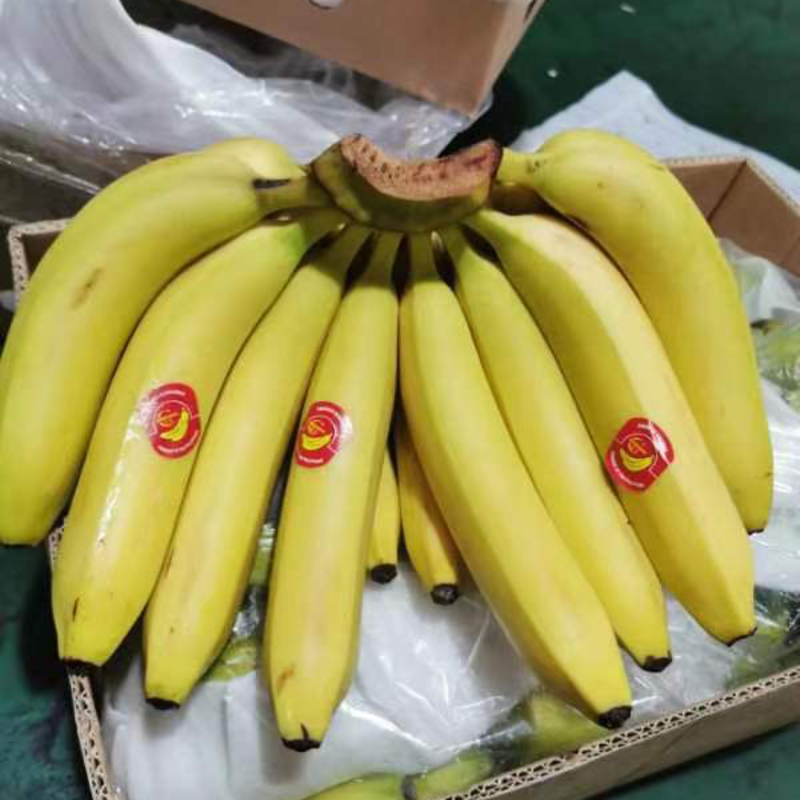 菲律宾进口香蕉软糯香甜可口