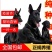黑狼犬狼犬质量保证纯种保证健康保证平台推荐