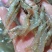 海虾