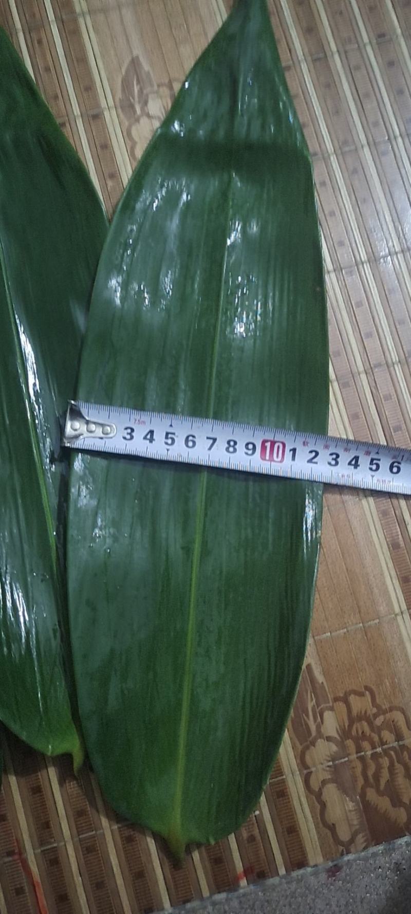 粽叶麻竹叶现货供应