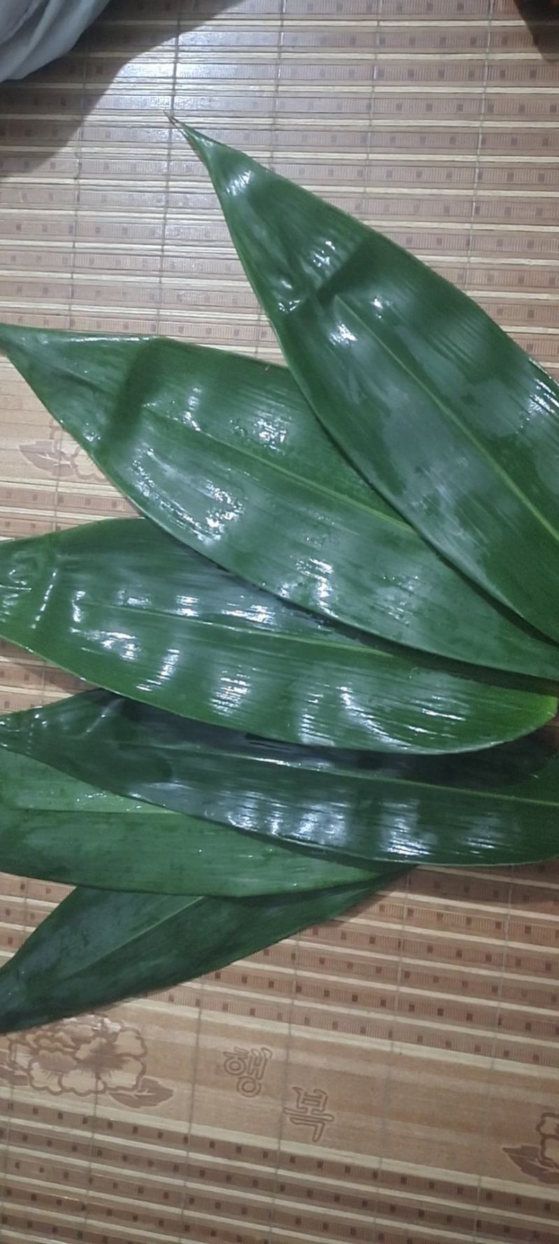 粽叶麻竹叶现货供应