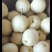 皇冠梨