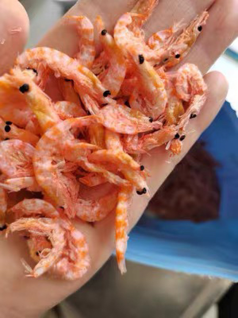 南极磷虾磷虾米磷虾仁海米虾皮电商微商社区团购