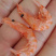 南极磷虾磷虾米磷虾仁海米虾皮电商微商社区团购