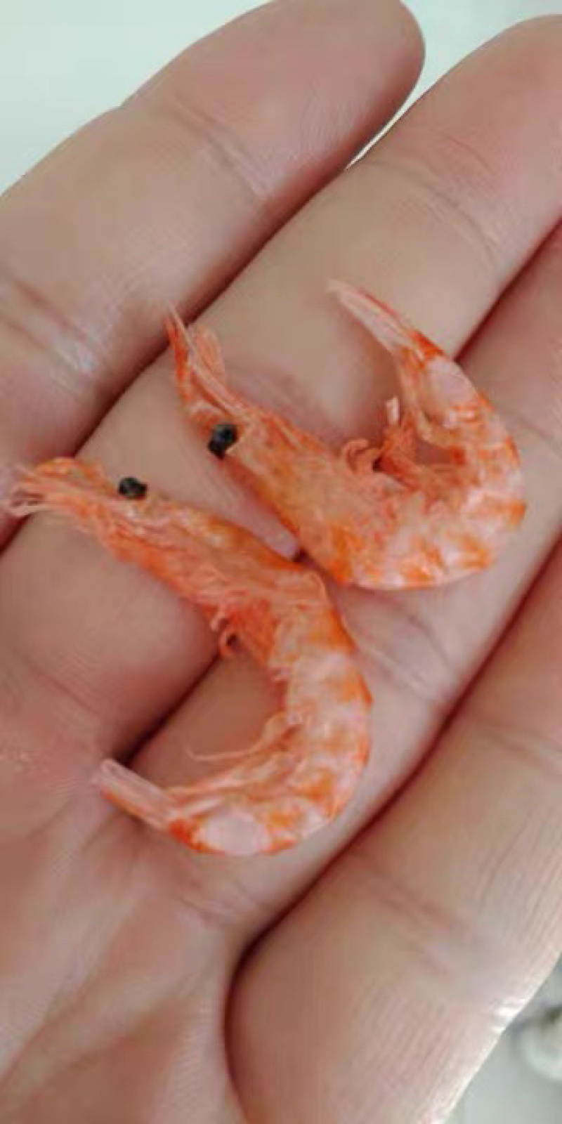 南极磷虾磷虾米磷虾仁海米虾皮电商微商社区团购