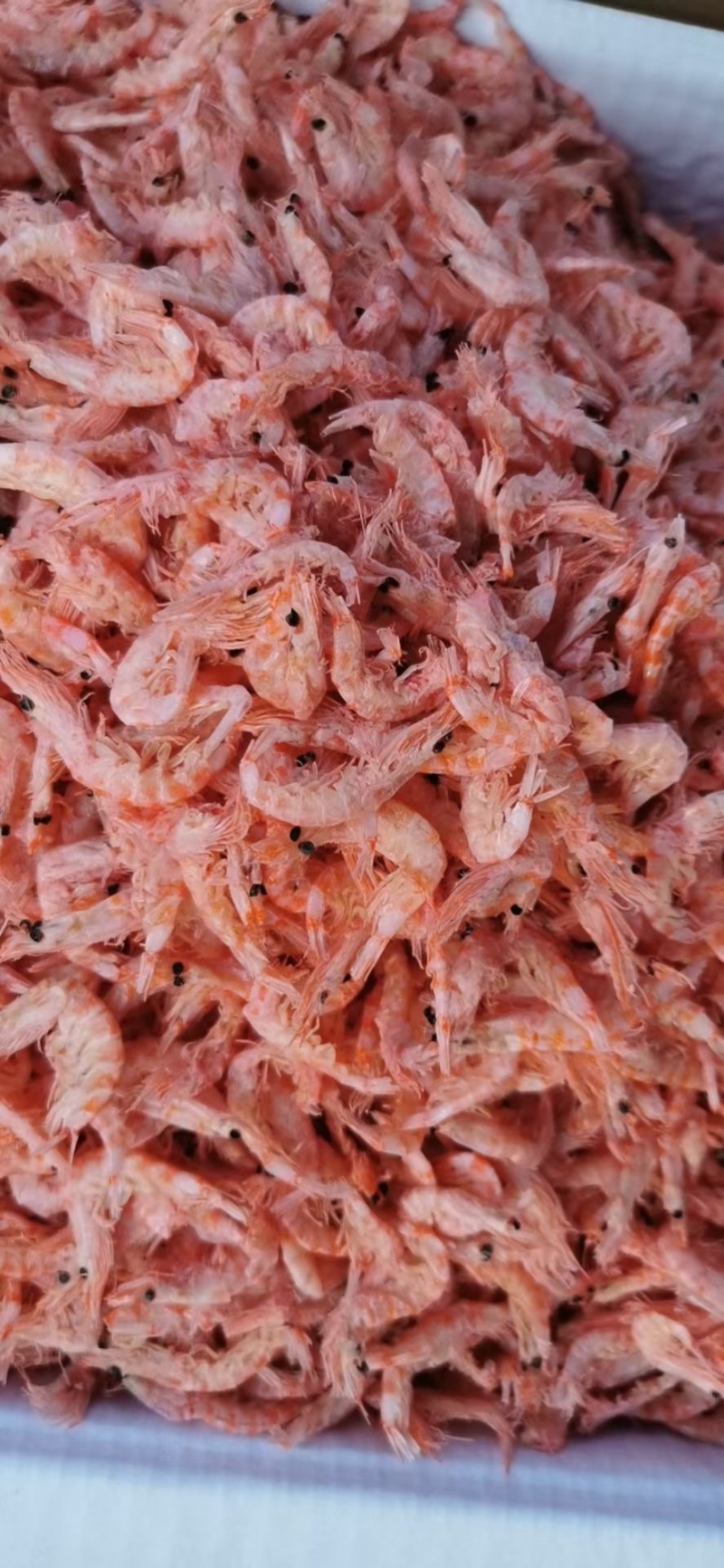 南极磷虾磷虾米磷虾仁海米虾皮电商微商社区团购