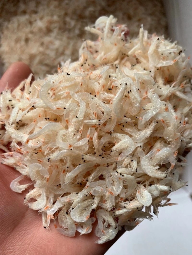 虾皮淡干虾皮新货淡干虾皮虾米非海米海产品干货商用批发电商