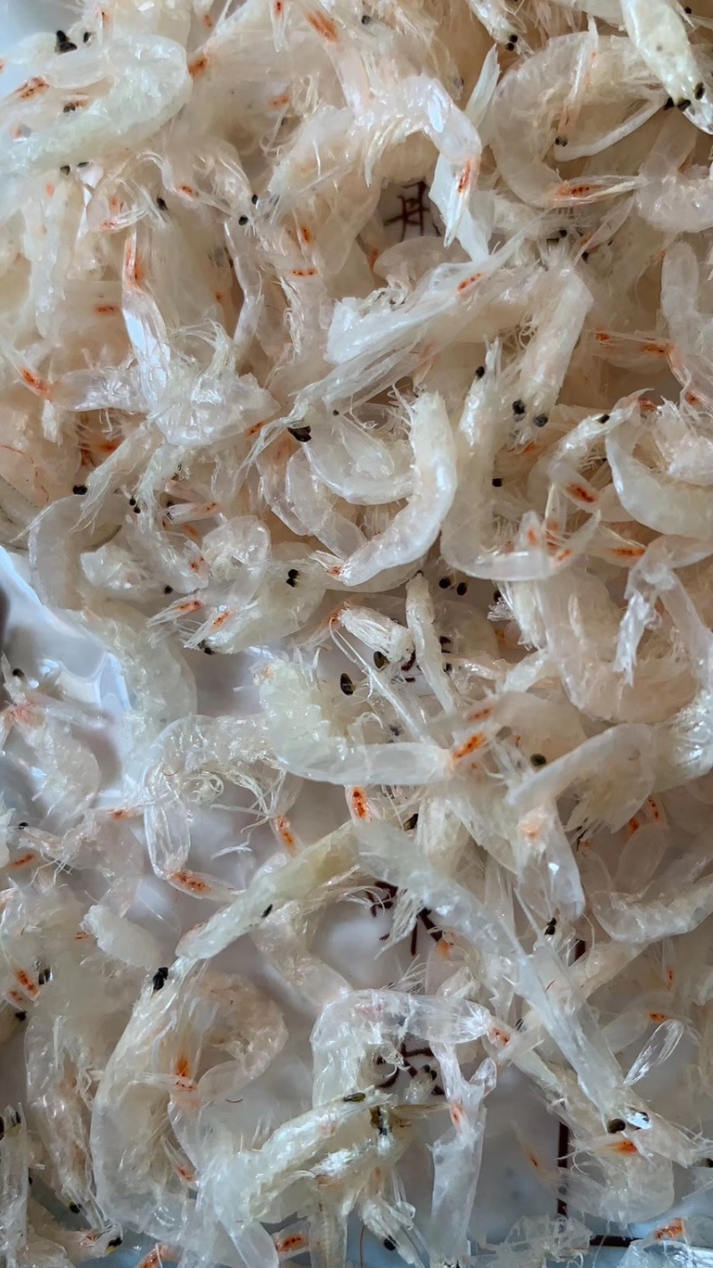 虾皮淡干虾皮新货淡干虾皮虾米非海米海产品干货商用批发电商