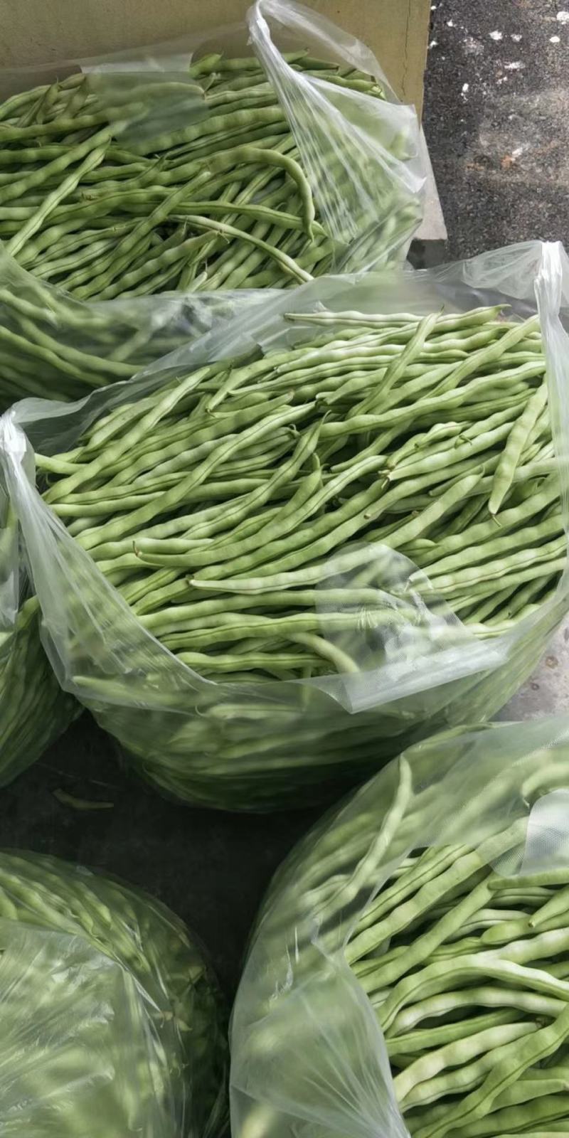 精品白无丝