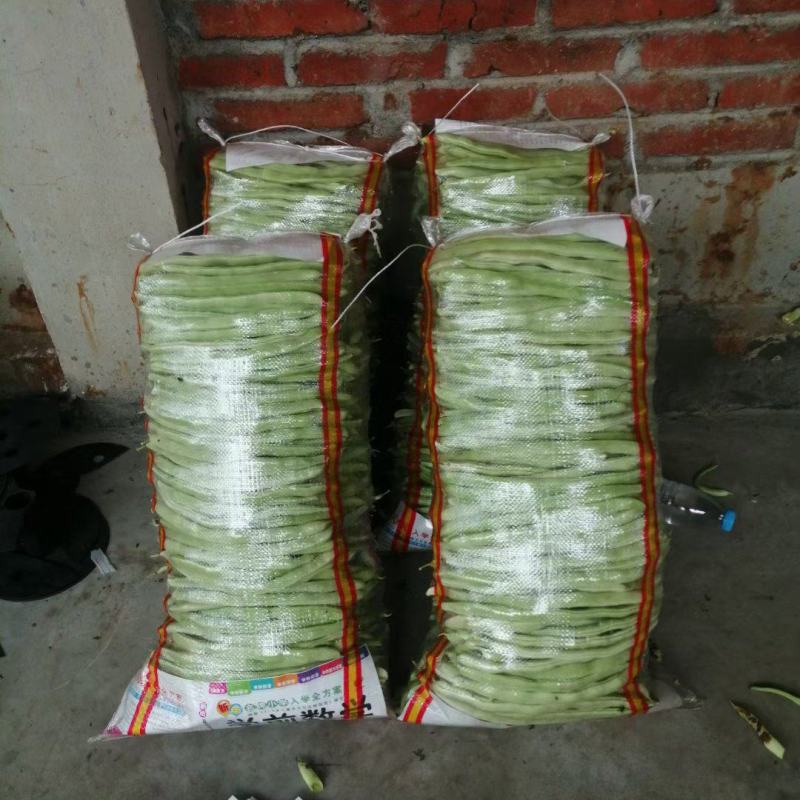 精品白无丝