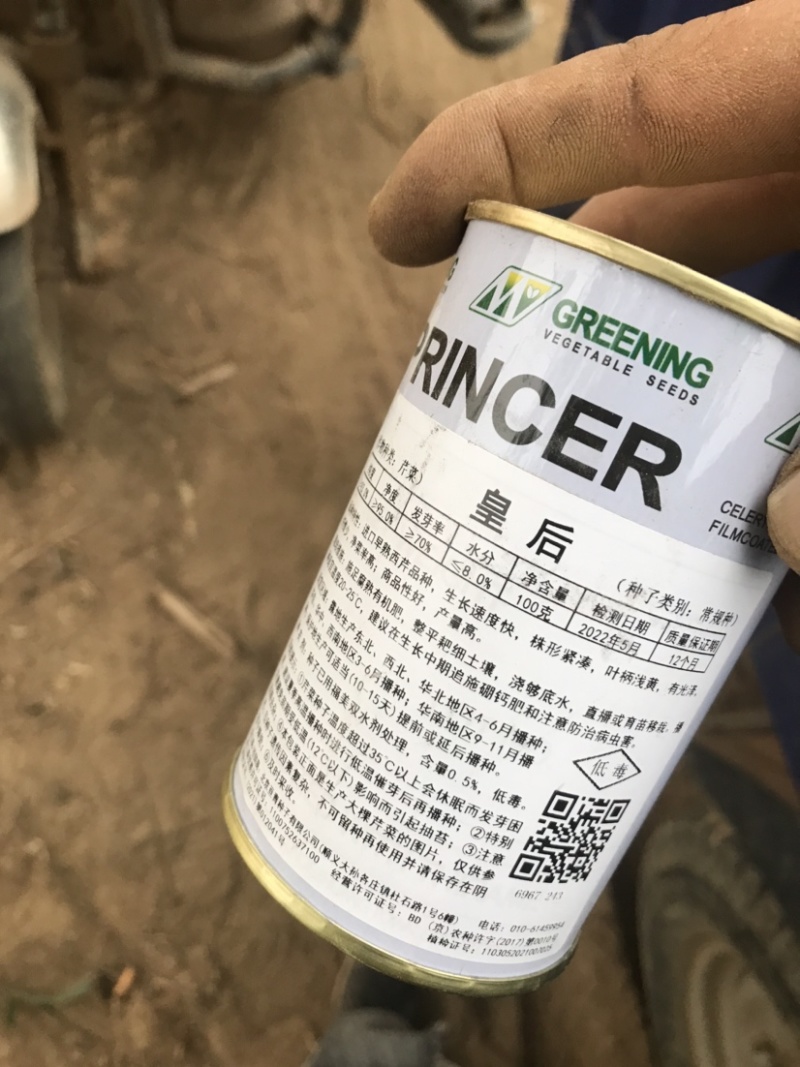 海量供应法国优质皇后手提苗！有需要的老铁可电联
