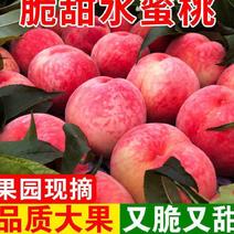 《山东北京八号》大红毛桃，产地一手货75mm起步，可视频