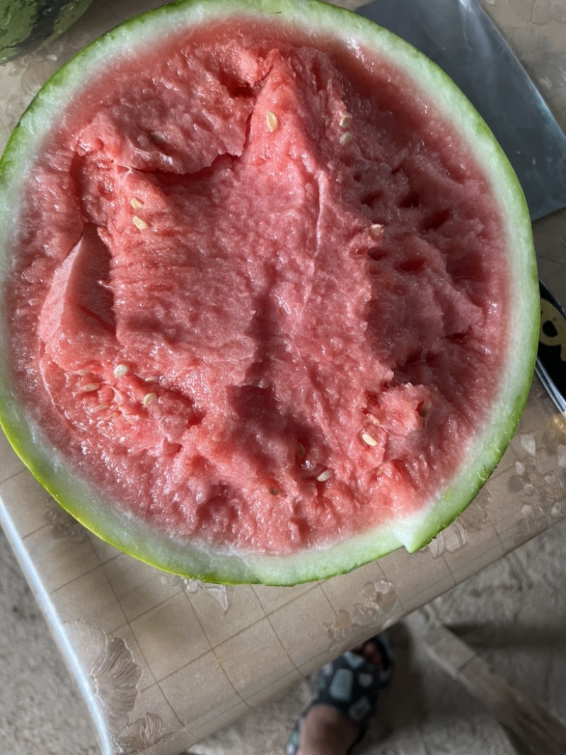 精品美都，精品美都西瓜