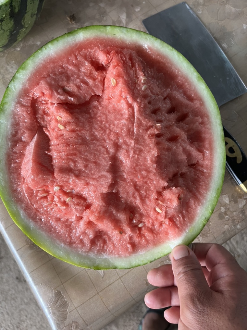 精品美都，精品美都西瓜