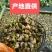 菱角大别山牛角菱角新鲜湖北黄冈蕲春货源充足