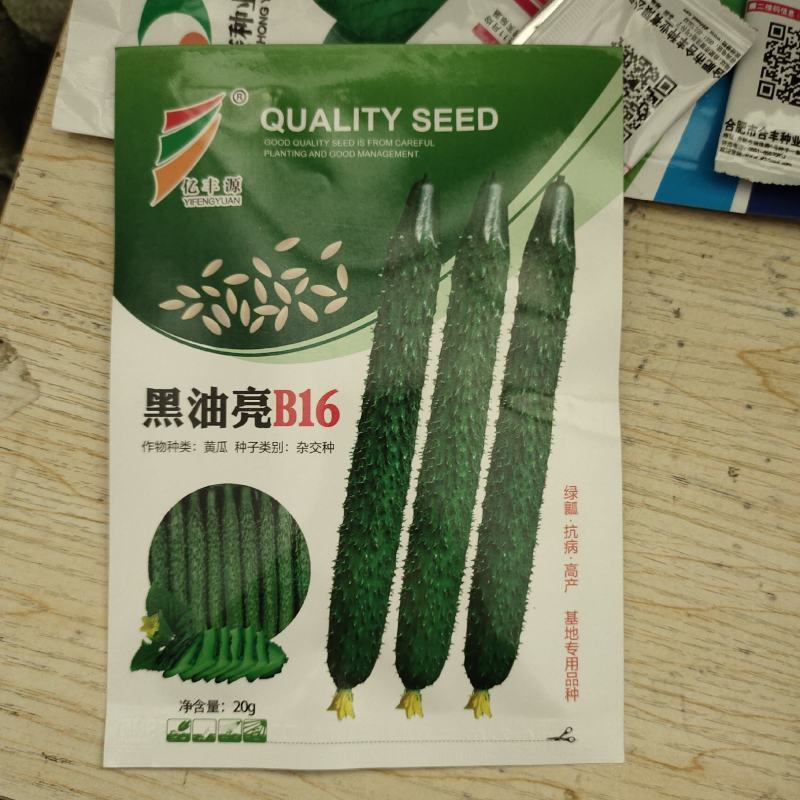 黄瓜种籽子高产深绿油亮青瓜耐热高产抗病顺直春秋四季黄瓜种
