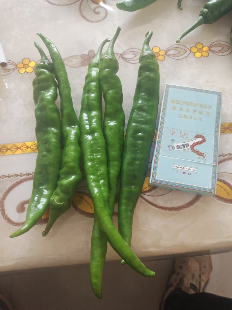 全部都是现货一手货源场地直发欢迎各位老板致