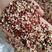 红豆碎瓣红豆掰豆沙原料红小豆食品原料大量批发