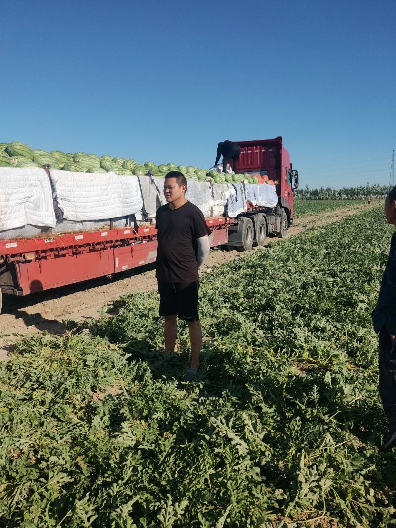 美丽大新疆昌吉红金城硒砂瓜产地直发一手货源对接电商