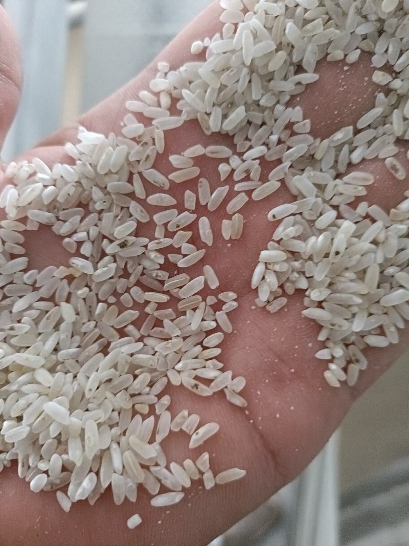 过机黑头酒米长年有货