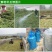 益富源秸秆发酵剂发酵农作物秸秆牧草饲料饲喂牛羊长得快