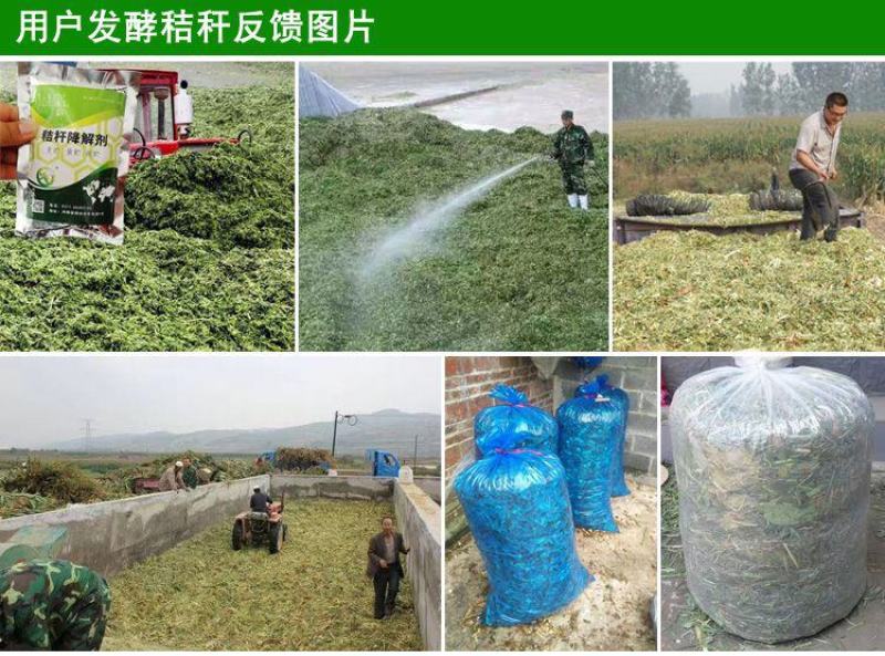 益富源秸秆发酵剂发酵农作物秸秆牧草饲料饲喂牛羊长得快