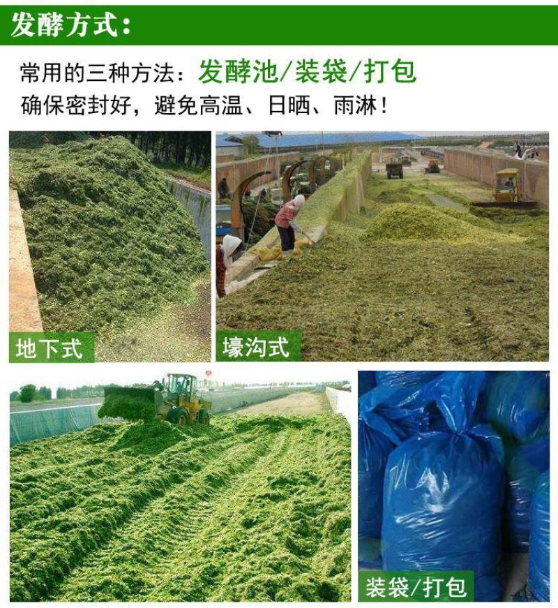 益富源秸秆发酵剂发酵农作物秸秆牧草饲料饲喂牛羊长得快